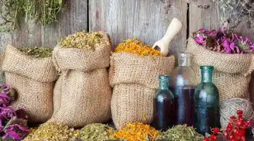 عشبة الجنة موجودة بمطبخك تغنيك عن زيارة الطبيب خلال رمضان وتنظف القولون 1