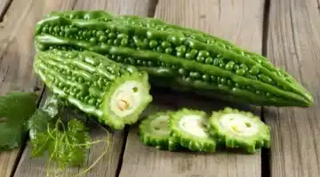 عشبة الحنضل معجزة صحراوية قد تُنهي معاناة مرضى السكري 4