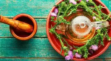 عشبة الصحراء الذهبي كنز طبيعي لعلاج الكبد ومحاربة السرطان 1