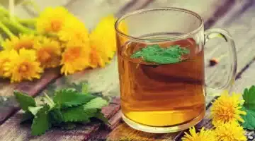 عشبة شوك الجمل الصحراء لعلاج الكبد والسرطان
