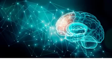 عقلك أقوى مما تتخيل 6 استراتيجيات ذهنية لتحفيز الدماغ وتأخير الشيخوخة 1