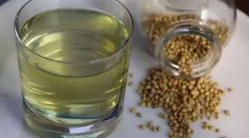 فوائد الكزبرة الجافة كنز غذائي أكثر من مجرد توابل 1
