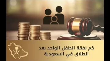 كم تبلغ نفقة الأبناء بعد الطلاق في السعودية 2025؟ التفاصيل القانونية الكاملة
