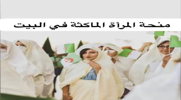 لتسجيل في منحة المرأة الماكثة بالبيت الرابط والخطوات عبر الوكالة الوطنية للتشغيل