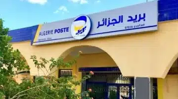 مبروك هاتتوظف أمتى. نتائج مسابقة البريد الجزائري 2025 للوظائف