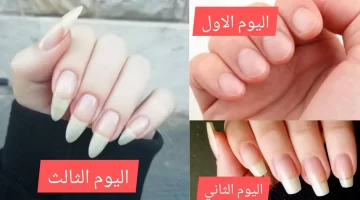 مش هتحتاجي مناكير تاني خلطات سحرية من مطبخك لـ أظافر طويلة وقوية كالحرير