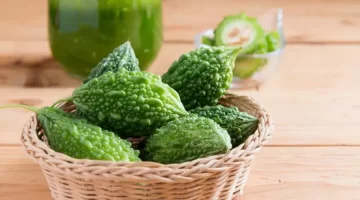 معجزة طبيةنبات الحنظل يُحدث ثورة علاج السكري ويُقلل السكر التراكمي خلال دقائق 1