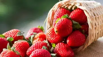 مفاجأة صحية غير متوقعة تأثير تناول الفراولة يوميًا على صحة كليتيك؟