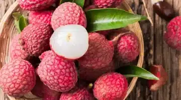 نبات طبيعي يكشف سر الشباب الدائم الحل الأمثل لبشرة نضرة وصحة مثالية