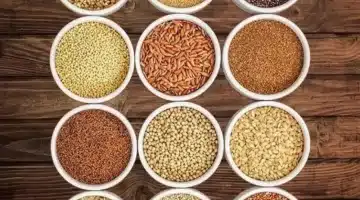 وداعًا للصلع كيف تُعيد البذور الطبيعية عافية شعرك وتُحارب التساقط الوراثي