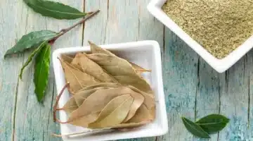 ورق الغار بين الأسطورة والواقع هل يُطهّر المنزل من الجن حقًا؟