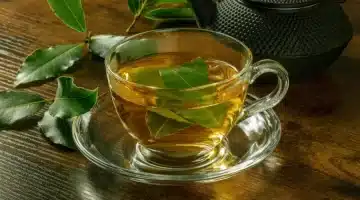 ورق الغار كنز طبيعي بفوائد خارقة للصحة والجمال