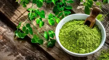🌿 المورينجا الشجرة السحرية التي تعالج 40 مرضًا وتعزز صحة الجسم 1