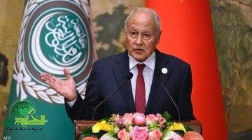 أبو الغيط يحذر من تفاقم الصراع السوداني ويدعو إلى تحرك دولي عاجل لوقف النزاع
