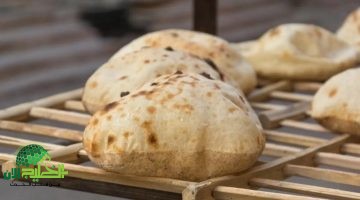 أزمة الخبز في مصر. التسعيرة النهائية وتأثيرها على المواطنين
