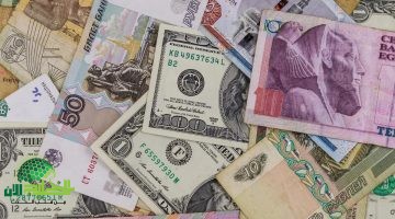 أزمة غير مسبوقة. الدولار يحطم الرقم القياسي أمام الجنيه المصري في البنوك والسوق السوداء