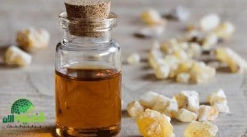 أسرار لا تعرفها عن لبان الدكر فوائد مذهلة لصحتك ومنزلك