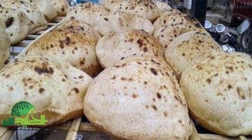 أسعار الخبز في مصر اليوم. كل ما تريد معرفته عن رغيف العيش المدعوم والحر 2025