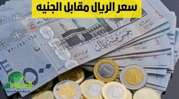 أسعار الريال السعودي مقابل الجنيه المصري اليوم الخميس 24 أبريل 2025