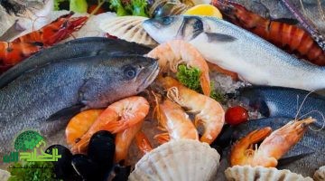 أسعار السمك في مصر اليوم. تحليل شامل لأحدث التطورات في سوق الأسماك