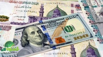 أعلى سعر للدولار في مصر. اختراق تاريخي في البنوك والسوق السوداء