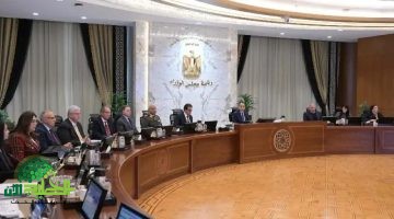 أهم قرارات مجلس الوزراء المصري اليوم 23 أبريل 2025