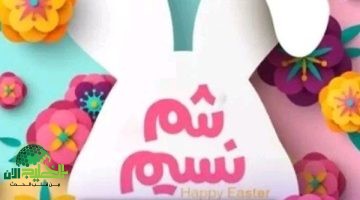 إجازة شم النسيم 2025. موعد الاحتفال وأبرز العطلات الرسمية في مصر
