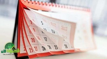 إجازة شم النسيم 2025. موعدها، طقوس الاحتفال، وقائمة إجازات أبريل الكاملة