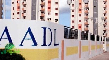 إعلان أسماء المقبولين في سكنات عدل الدفعة الثانية 2025. خطوات الاستعلام والتسجيل