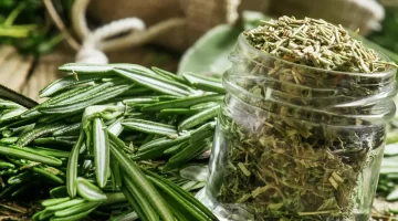 إكليل الجبل . السر الطبيعي لشعر صحي وكثيف فوائد مذهلة لا تعرفها 1
