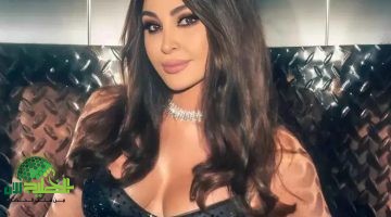 إليسا في باريس موقف محرج ونجاح مستمر مع أنا سكتين