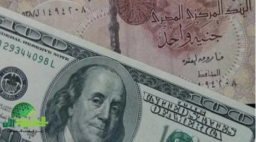ارتفاع جنوني للدولار في مصر. أسعار صادمة في البنوك والسوق السوداء