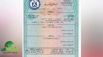 استخراج شهادة ميلاد 2025 أونلاين. دليل شامل وخطوات سهلة 1 1