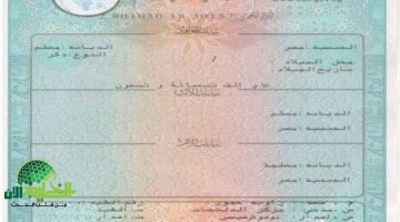 استخراج شهادة ميلاد 2025 إلكترونيًا – خطوة بخطوة