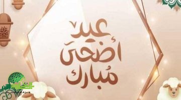 استعدادات عيد الأضحى 2025. مواعيد، تقاليد، ونصائح للاحتفال بالمبارك