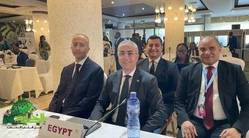 استقبال فخم للرئيس الأنجولي في مصر خطوة جديدة نحو تعزيز الشراكة الأفريقية1