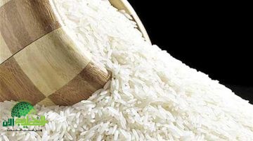 استقرار أسعار الأرز في مصر اليوم. المزارعون يترقبون موسمًا واعدًا