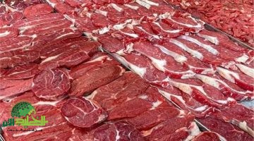 استقرار أسعار اللحوم الحمراء اليوم. دليلك الشامل لأفضل الأسعار ونصائح الشراء الذكي