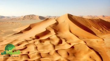 اكتشاف مذهل في السعودية. صحراء الربع الخالي كانت بحراً يعود للعصر الجوراسي