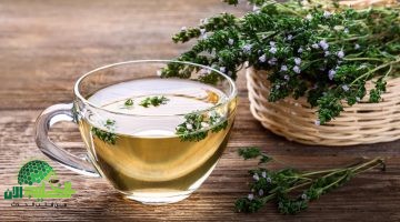 الأعشاب الطبيعية . درعك الواقي ضد العدوى ومعزز طبيعي للمناعة1