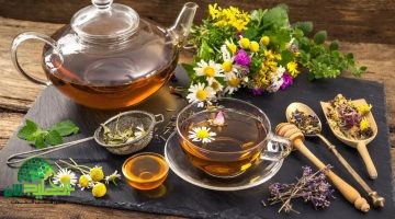 الأعشاب المعجزة لتعزيز الذاكرة والتركيز . دليل علمي شامل