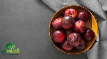 البرقوق المصري . كنز صحي مهمل يحل مشاكل الإمساك والسكر والوزن1
