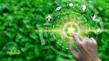 التحول الأخضر في مصر الغردقة الخضراء ركيزة الاستدامة1