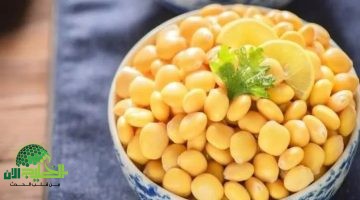 الترمس. بين الفوائد الصحية والمخاطر الخفية