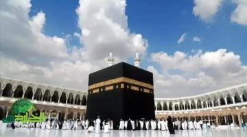 التسجيل في باقات حجاج الداخل 1446 عبر نسك. خطوات سهلة وتجربة رقمية متكاملة 1