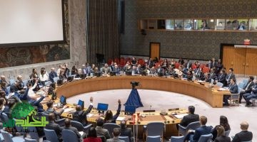 الجزائر والسودان تتصدران المطالبة بجلسة طارئة لمجلس الأمن لمواجهة الاعتداءات الإسرائيلية على سوريا1
