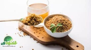 الحلبة كنز طبيعي في مطبخك يحارب السكري ويذيب حصى الكلى ويحمي قلبك 1
