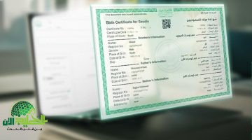 الخدمات الرقمية في السعودية تصل إلى مستوى جديد. شهادة الميلاد الإلكترونية للأسر الحاضنة