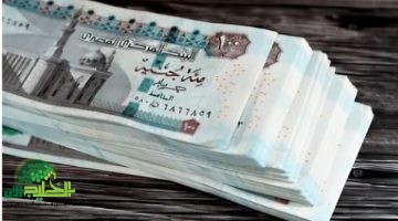 الزيادة السنوية للموظفين 2025. كل ما تريد معرفته عن جدول الرواتب الجديد