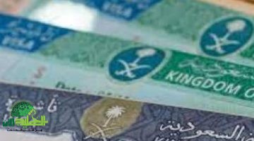 السعودية تفتح أبوابها للمواهب العالمية. تأشيرة عمل بدون كفيل تبدأ من 2025